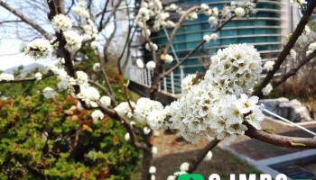 김포시농업기술센터 - 경기도 김포시