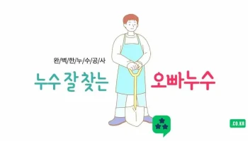 누수탐지 하수구 씽크대 변기뚫음 오빠누수 설 - 남구