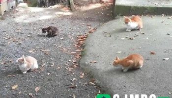 달서구 - 달서구