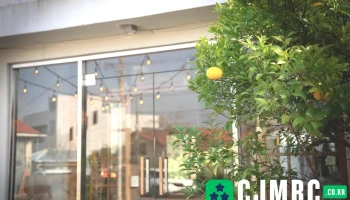 담다제주 - 제주특별자치도 서귀포시 담다제주 - 제주특별자치도 서귀포시