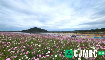 대백제전 - 충청남도 부여군 부여읍 나루터로