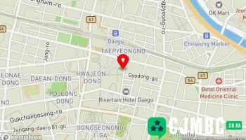 대지레코드 - 대구광역시