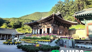 대한불교조계종 보광사 - 파주시