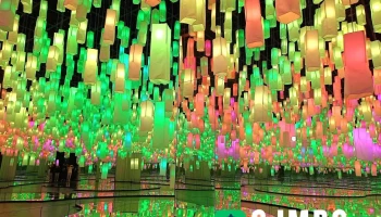 딜라이트 담양 - 전라남도 담양군 월산면 화방송정길 21-22 딜라이트 담양 - 전라남도 담양군 월산면 화방송정길 21-22