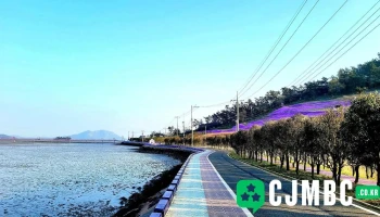 반월도 - 전라남도 신안군 안좌면 반월리