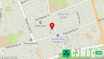 사단법인 한국영아발달조기개입협회 - 서울특별시