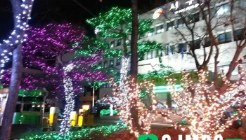 서구 - 서구