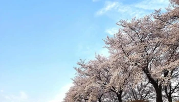 서천둔치 - 경상북도 영주시
