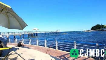 신선마트 - 강원특별자치도 고성군 현내면 대진리 96-5 신선마트 - 강원특별자치도 고성군 현내면 대진리 96-5