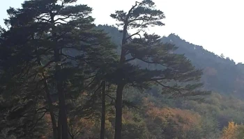 신왕리 - 강릉시