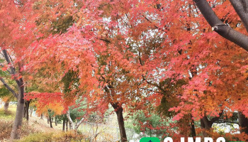 실크로드시앤티 평택공장 - 충청남도 아산시