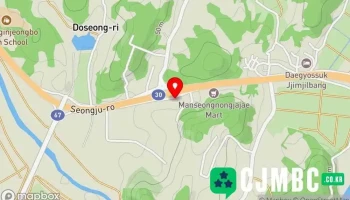 영남전기기술공사 - 경상북도 성주군 선남면 도성리 786-2