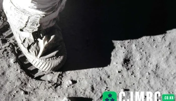 오브라운 - 서울특별시