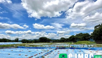 월성 - 경상북도 경주시 월성 - 경상북도 경주시