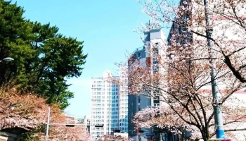 (재단)영남건설기술교육원 - 부산광역시