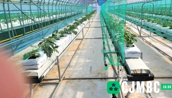 전북특별자치도농업기술원 수박시험장 - 전북특별자치도 고창군 특별자치도 대산면 율촌리 627-1