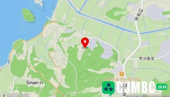 (주)디오인터내셔날 - 경기도 김포시 (주)디오인터내셔날 - 경기도 김포시