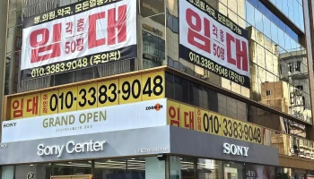 줌인 - 부산광역시