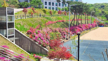 중부대학교 고양캠퍼스 - 경기도 고양시 중부대학교 고양캠퍼스 - 경기도 고양시