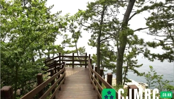 출렁다리 - 경상남도 거제시 출렁다리 - 경상남도 거제시