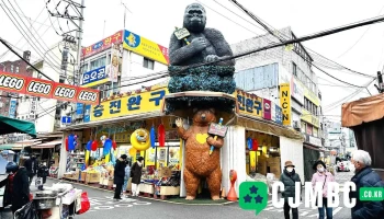 캐릭터팬시ncn - 서울특별시