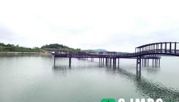 퍼플교 - 전라남도 신안군 안좌면 소곡리
