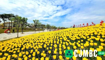 평택시농업기술센터 - 경기도 평택시