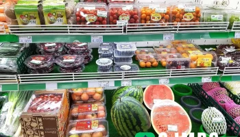 하나로마트 거진농협 - 강원특별자치도 고성군 거진읍 거진리 282-3 하나로마트 거진농협 - 강원특별자치도 고성군 거진읍 거진리 282-3