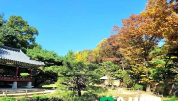 한국민속촌 - 용인시