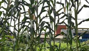 현대카부분정비 - 강원특별자치도 삼척시 현대카부분정비 - 강원특별자치도 삼척시