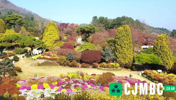 Acimgoyosumogweon Dongyeongsang - 가평군