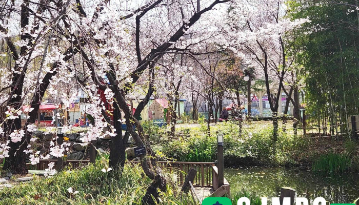 Areudde Suseongraendeu Soyuja Jegong - 수성구