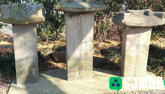 Busanjin Ceoghwabi Jeonce - 남구