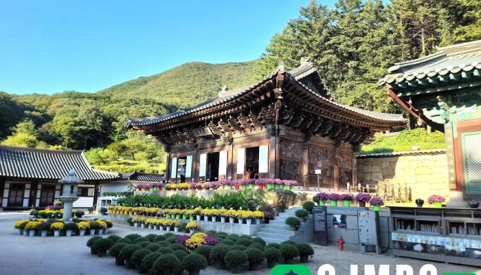 Daehanbulgyojogyejong Bogwangsa Jeonce - 파주시