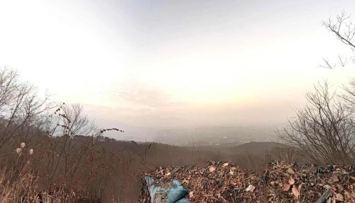 Dobonggu Seuteuriteu Byu Mic 360deg - 도봉구