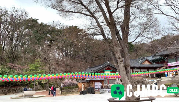 Donghwasa Dongyeongsang - 동구
