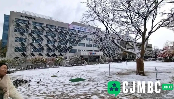 Gangdongguceong Dongyeongsang - 강동구