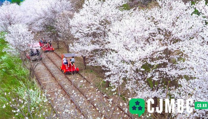 Gapyeongreilpakeu Soyuja Jegong - 가평군