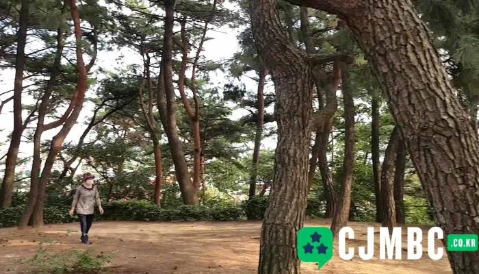 Gimhae Gujibong Dongyeongsang - 김해시