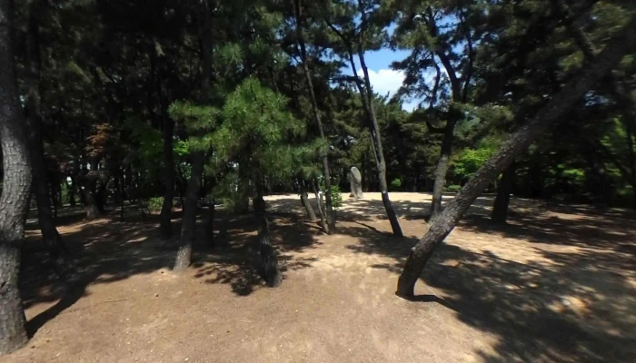 Gimhae Gujibong Seuteuriteu Byu Mic 360deg - 김해시