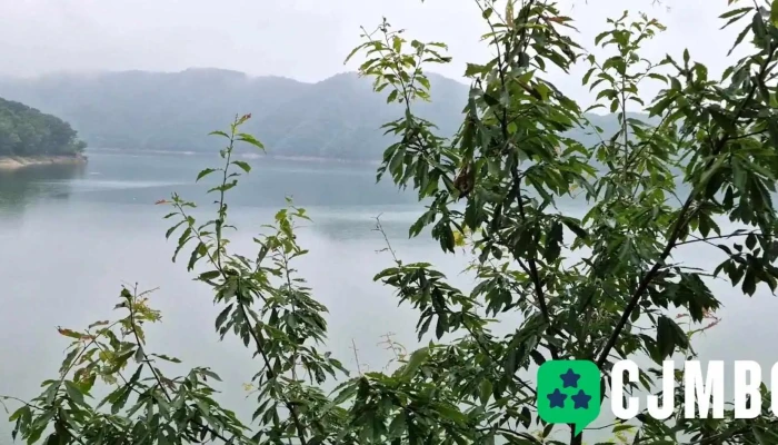 Hoengseonghosugil 5gugan Gajoggil Dongyeongsang - 횡성군
