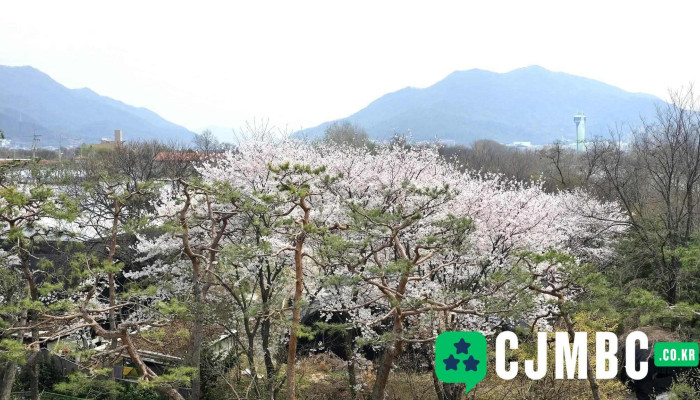 Misagyeongjeonggongweon Coesin - 하남시