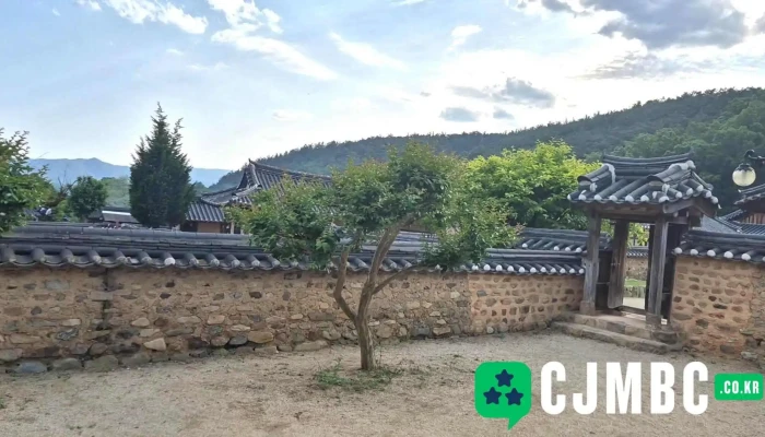 Ocgolmaeul Yes Damjang Dongyeongsang - 동구