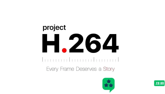 projectH.264 - 서울특별시