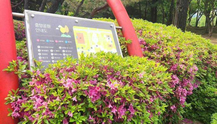 Pyeongconjunganggongweon Budongsan Jido - 안양시