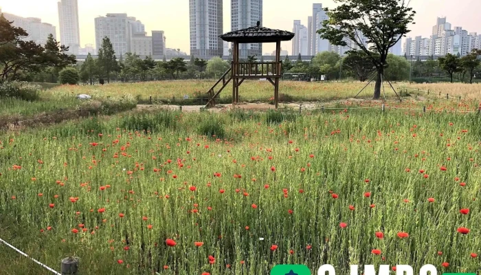 Sangdonghosugongweon Gongweon - 부천시