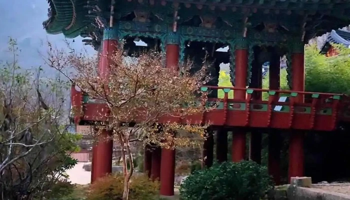 Seolagsan Sinheungsa Dongyeongsang - 속초시