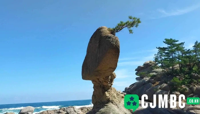 Seonangbawi Dongyeongsang - 고성군