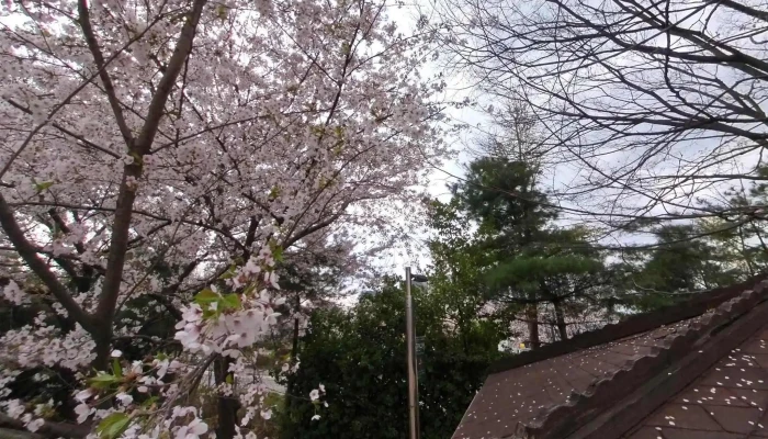 Singuro Yusuji Saengtaegongweon Seuteuriteu Byu Mic 360deg - 구로구