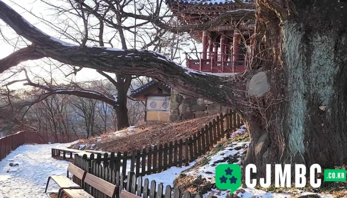 Sujongsa Dongyeongsang - 남양주시